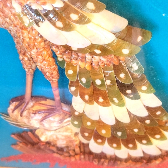 Seashell Peacock Framed Pucture - Picture 7 of 8